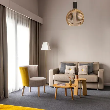 Boutique Centre 4* 科尔马
