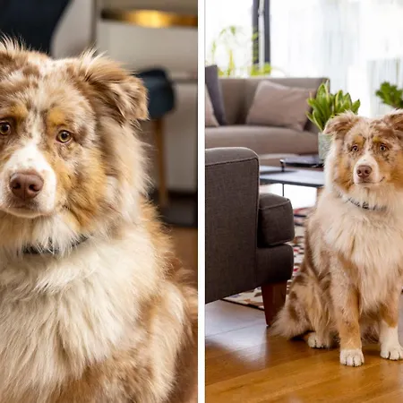 James Boutique Hotel Colmar Centre 4* Colmar