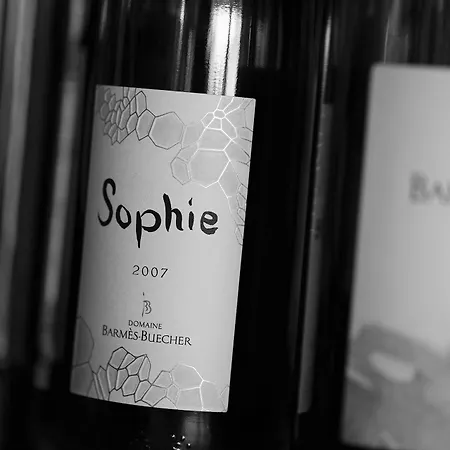 Boutique Centre Hotel Colmar