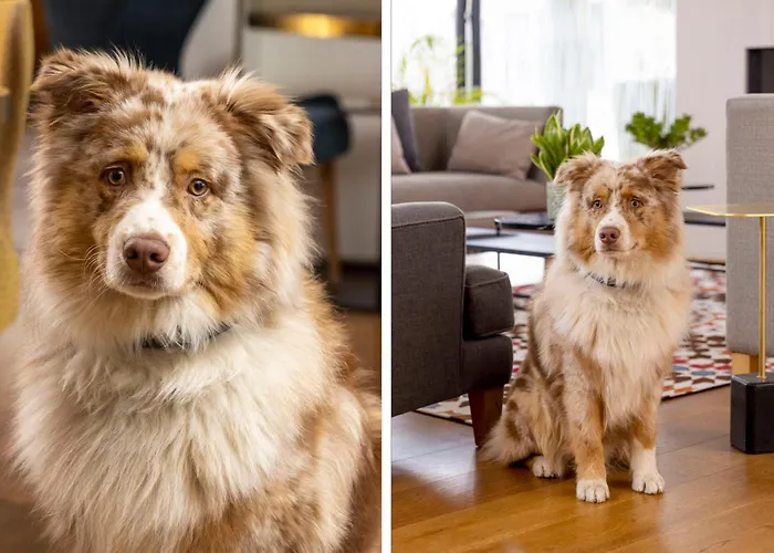 Boutique Centre 4* Colmar