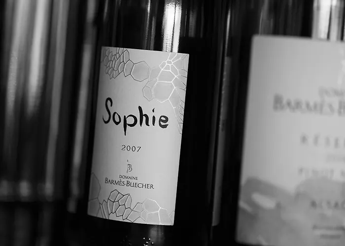 Boutique Centre Hotel Colmar